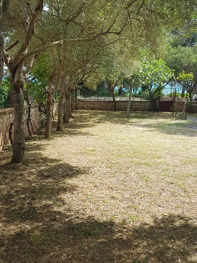Apartman Lugovic شيبينيك المظهر الخارجي الصورة